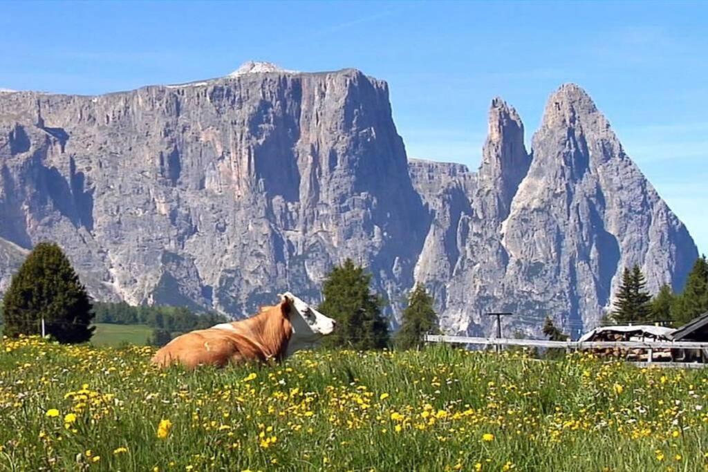 Fantastico Monolocale In Siusi Sciliar Lejlighed Eksteriør billede